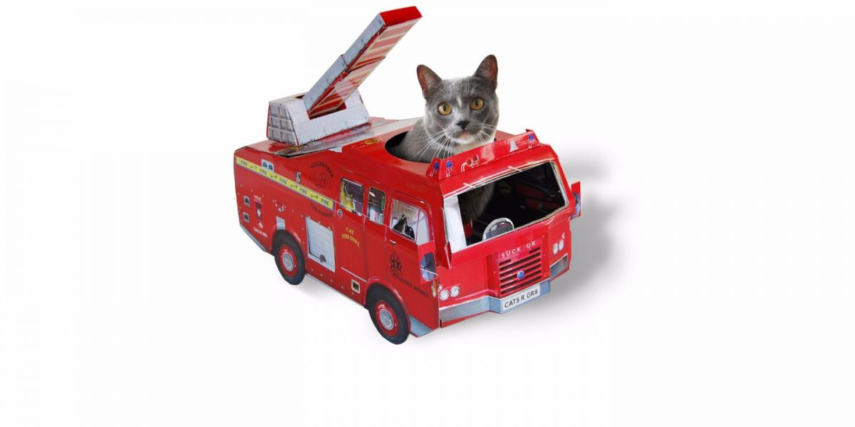 Fire Engine Cat Playhouse